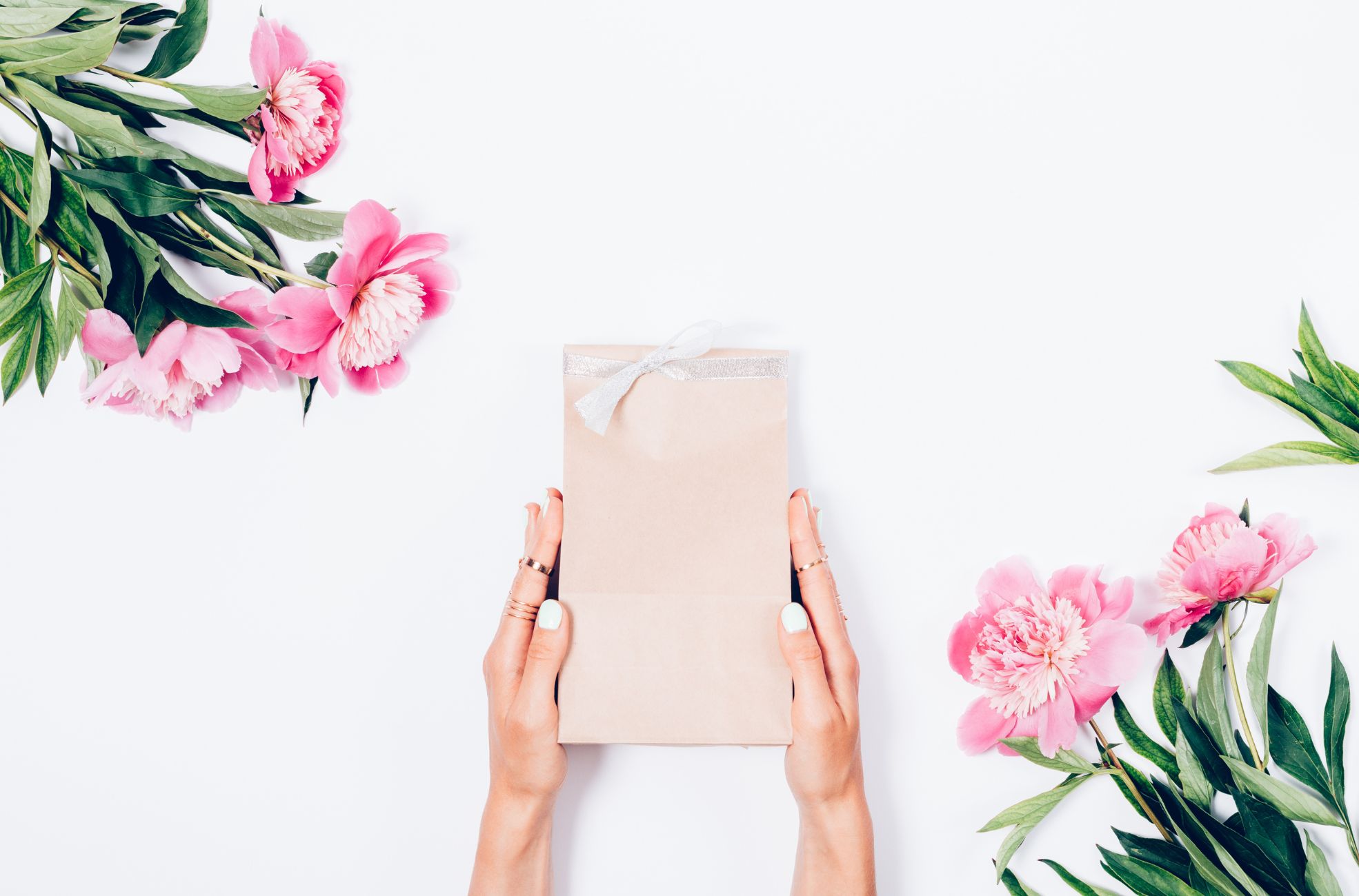 Woman's Hands Holding Gift Bag