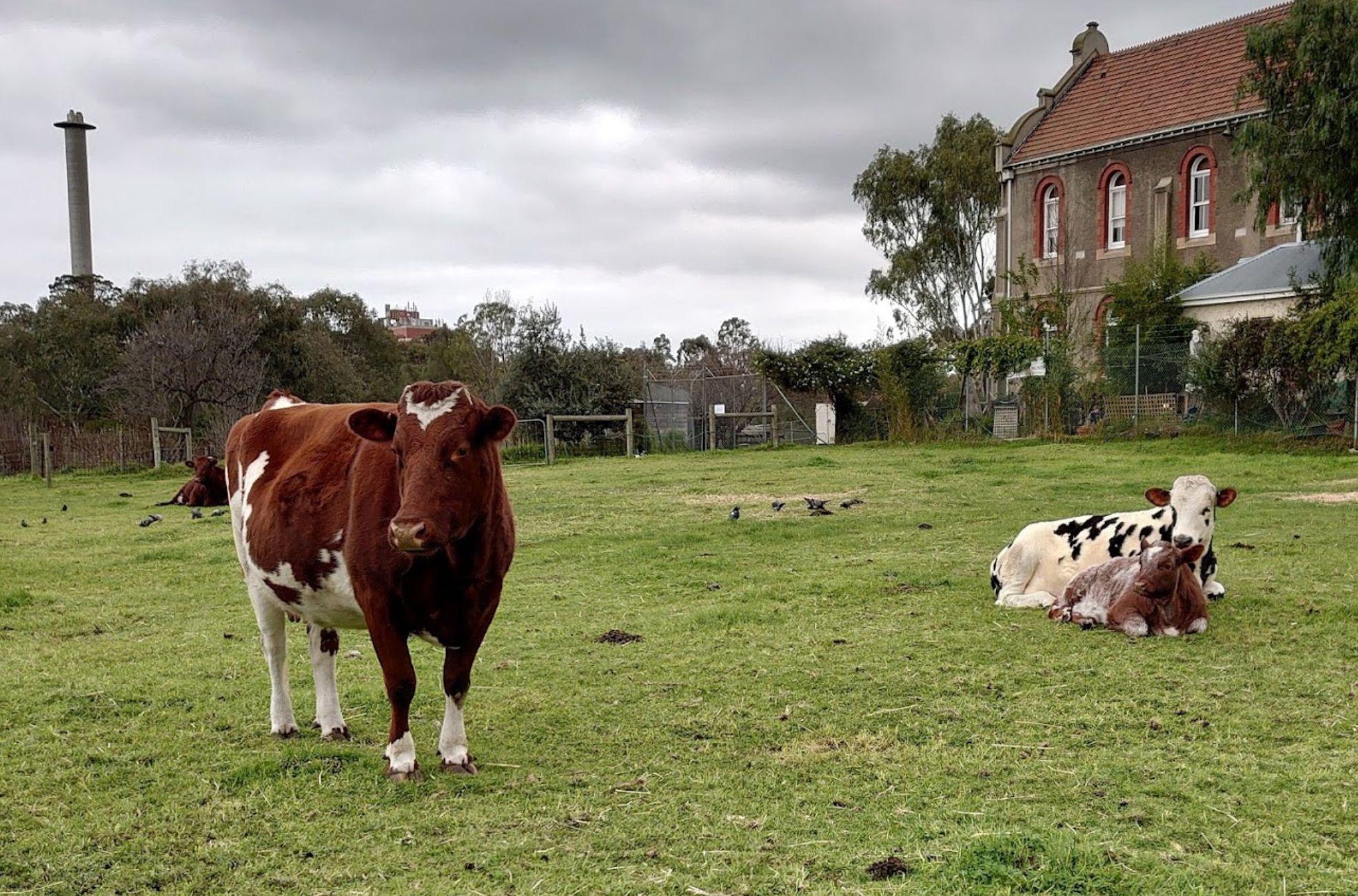 Collingwood Children's Farm, Melbourne