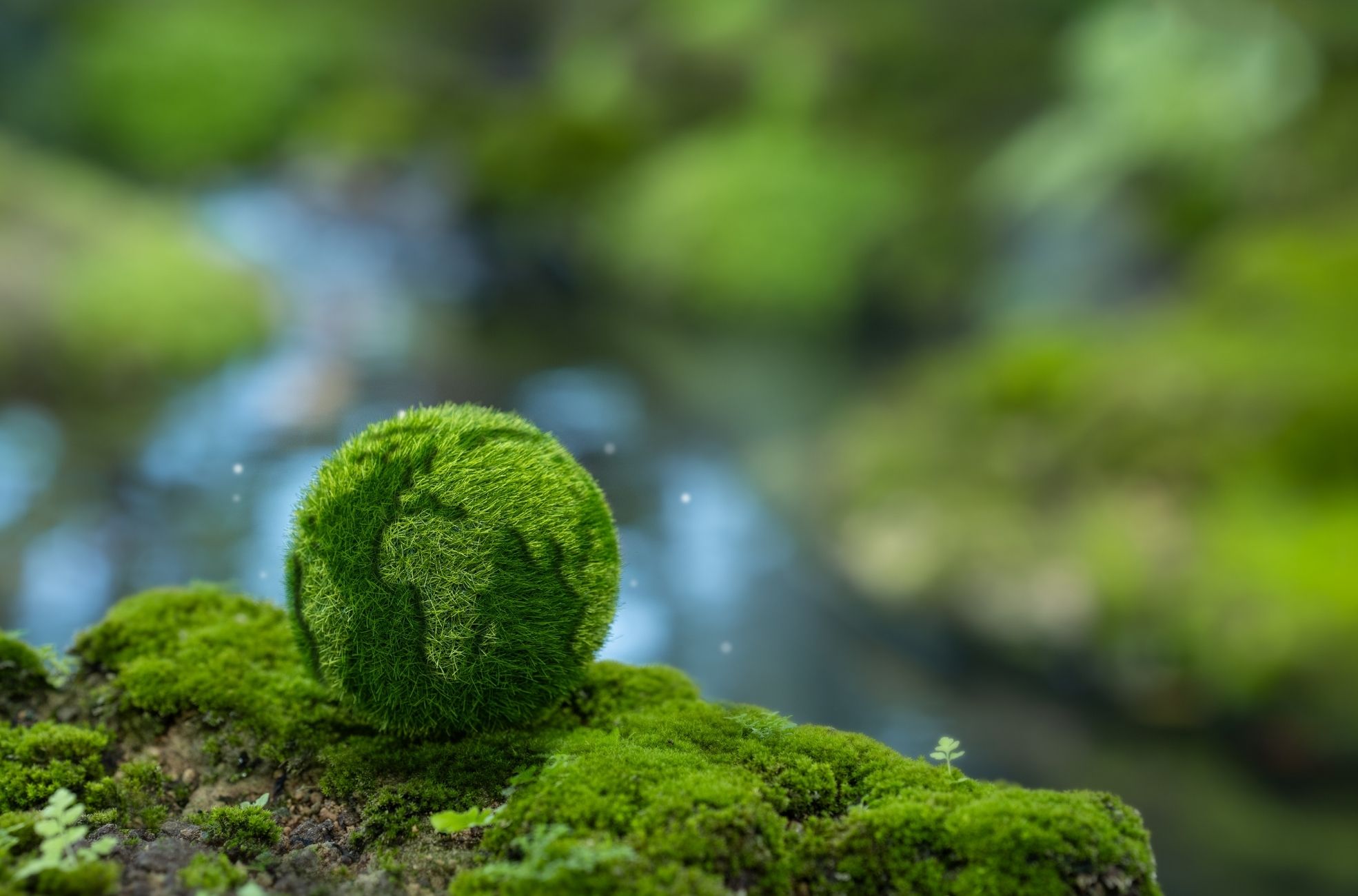 Moss-Covered Globe